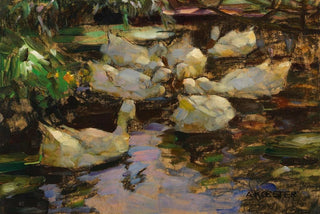 Alexander Koester - Enten im Wasser ohne Sonne.webp