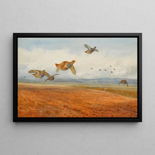 Archibald Thorburn - A Covey of Grey Partridge in Flight.webp