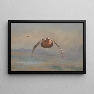 Archibald Thorburn - Grouse in flight.webp