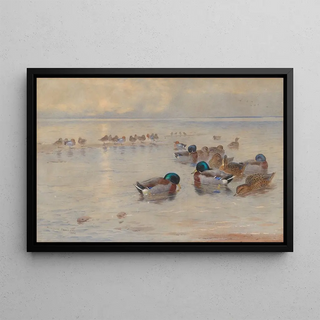 Archibald Thorburn - Mallards on a lake.webp