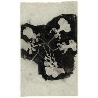 Carel Adolph Lion Cachet - Bloemstudie III.webp