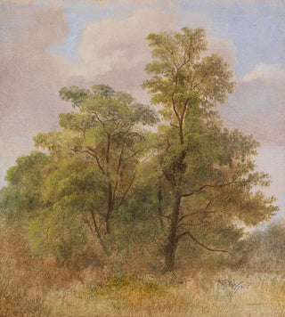 Carl Spitzweg - Baumstudie.webp