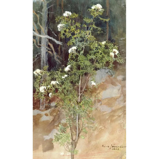 Eero Jrnefelt - White rowan.webp