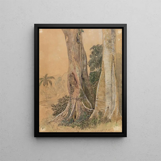 Ferdinand Keller - FigeiraStmme am Ufer des Parahyba.webp