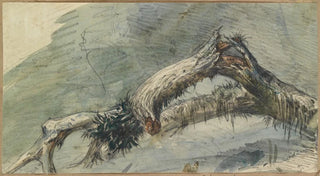 Ferdinand Keller - Geborstener Ast.webp