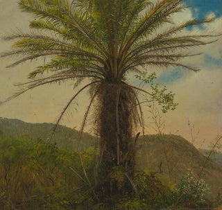 Frederic Edwin Church - Tree Fern Jamaica.webp
