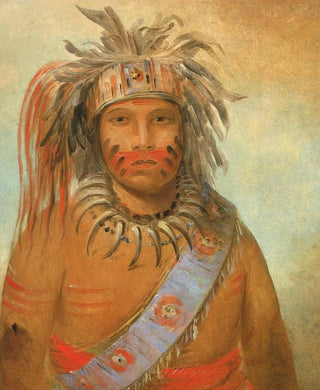 George Catlin - Aunimmuckkwaum Tempest Bird.webp