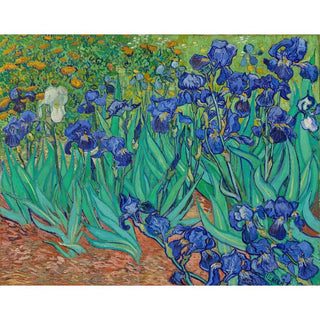 Irises - Vincent van Gogh | Reproduction Tableau Décoration murale affiche copie