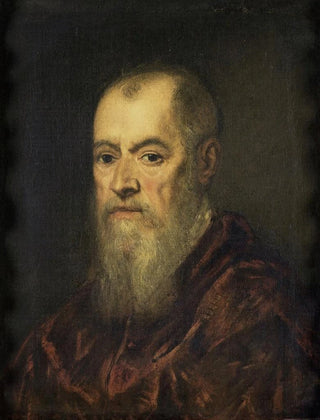 Jacopo Tintoretto - Portrait of a Man with a Red Cloak.webp