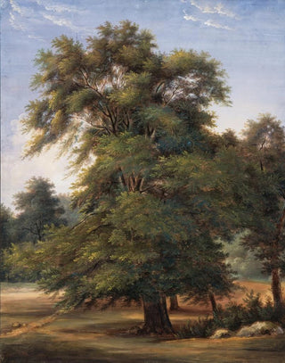 JeanVictor Bertin - Study of a Tree.webp