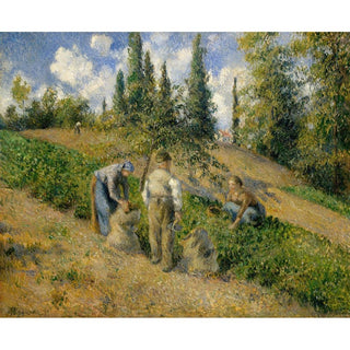 La Récolte, Pontoise - Camille Pissarro | Reproduction Tableau Décoration murale affiche copie