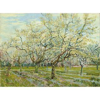Le verger blanc - Vincent van Gogh | Reproduction Tableau Décoration murale affiche copie