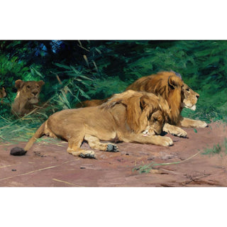 Lions au repos - Wilhelm Kuhnert | Reproduction Tableau Décoration murale affiche copie