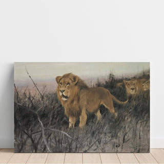 Lions dans la steppe brûlée - Wilhelm Kuhnert | Reproduction Tableau Décoration murale affiche copie
