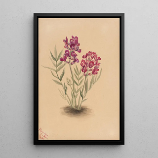 Mary Vaux Walcott - Flowers from the Mesa.webp