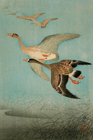 Ohara Koson - Flying Geese.webp