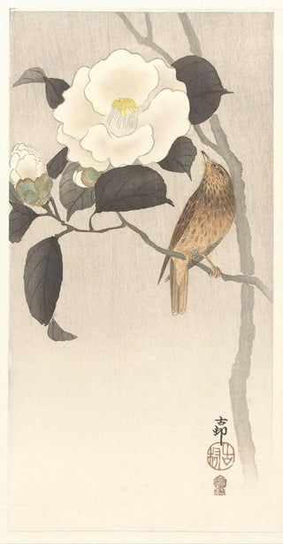 Ohara Koson - Songbird and flowering camellia.webp