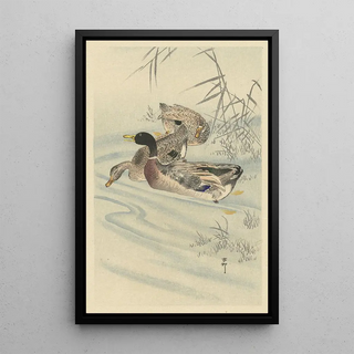 Ohara Koson - Three ducks in shallow water with reed.webp