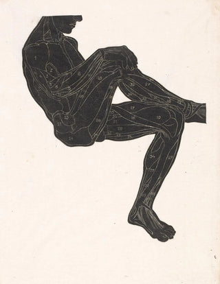 Reijer Stolk - Anatomische studie van de been en armspieren van een man in silhouet.webp