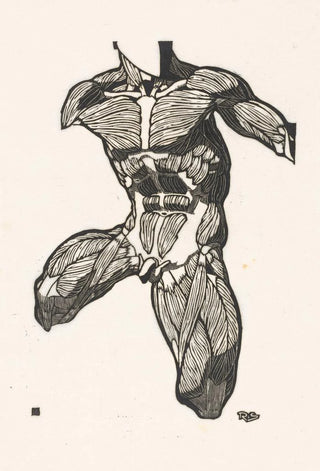 Reijer Stolk - Anatomische studie van de nek buik en bovenbeenspieren van een man.webp