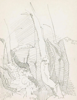 Reijer Stolk - Boomstammen.webp