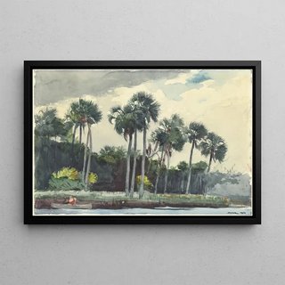 Winslow Homer - Red ShirtHomosassa Florida.webp