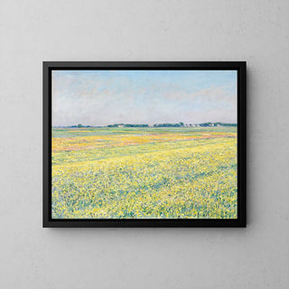The Plain of Gennevilliers, Yellow Fields - Gustave Caillebotte