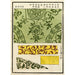Reproduktion des Gemäldes Chinesische Drucke pl26 - A F Stoddard Company