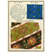 Reproduktion des Gemäldes Chinesische Drucke pl6 - A F Stoddard Company