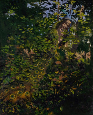 Abbott Handerson Thayer - Peacock in the Woods study for book Concealing Coloration in the Animal Kingdom.webp