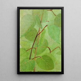 Abbott Handerson Thayer - Sphinx Caterpillar study for book Concealing Coloration in the Animal Kingdom.webp