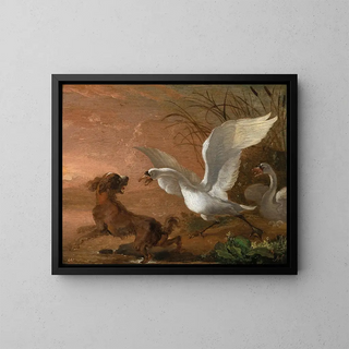 Ein Schwan, der einen Hund angreift - Abraham Hondius — gerahmtes Bild an der Wand
