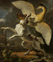 Ein Hund kämpft gegen einen Reiher - Abraham Hondius — Ansicht des Kunstwerks