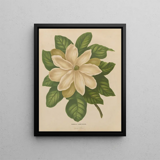 Abraham Jacobus Wendel - Nederlandsche flora en pomona Pl43.webp