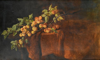Adam Ludwig Kunz - Aprikosenzweig.webp