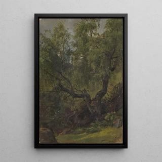 Adolph Tidemand - Forest Study from Numedal.webp