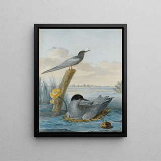 Aert Schouman - A Pair Of Black Terns With Nest And Egg In A River Landscape.webp