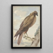 Ein Drachen - Aert Schouman — gerahmtes Bild an der Wand
