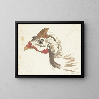 Aert Schouman - Head of a Helmeted Guineafowl.webp