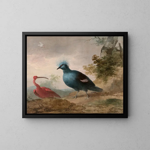Pintade de Numidie, cacatoès noir, ibis rouge et goura couronné - Aert Schouman — gerahmtes Bild an der Wand
