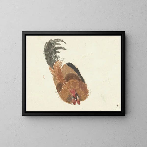Studie eines toten Hahns - Aert Schouman — gerahmtes Bild an der Wand