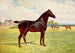 Doppel-Champion Hengst Pony Berkeley Model - Nach Penry Powell Palfrey — Ansicht des Kunstwerks