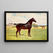 Doppel-Champion Hengst Pony Berkeley Model - Nach Penry Powell Palfrey — gerahmtes Bild an der Wand