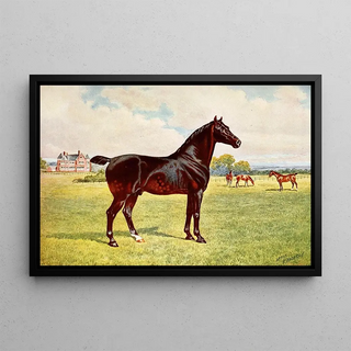 After Penry Powell Palfrey - Dual Champion Pony Stallion Berkeley Model.webp