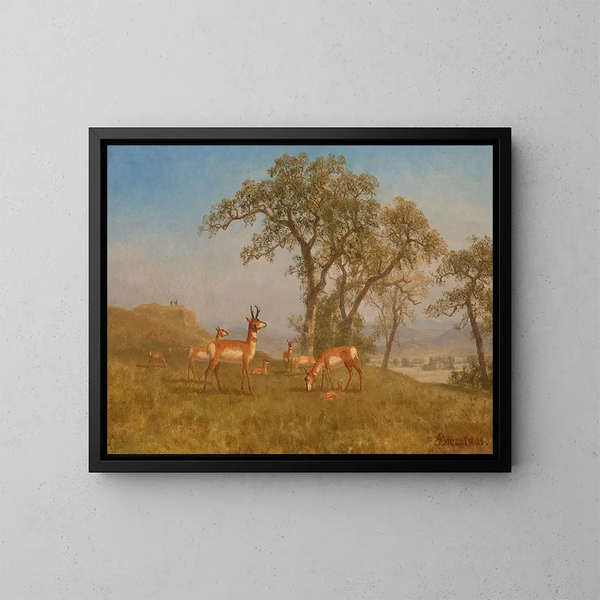 Antilope paissant - Albert Bierstadt — gerahmtes Bild an der Wand