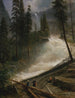 Chutes du Nevada à Yosemite - Albert Bierstadt — Ansicht des Kunstwerks
