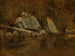 Montagnes Blanches, Echo Lake - Albert Bierstadt — Ansicht des Kunstwerks