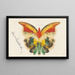 Schmetterling gelb - Albert Bierstadt — gerahmtes Bild an der Wand