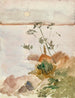 Küstenlandschaft bei Mondschein - Albert Edelfelt — Ansicht des Kunstwerks