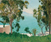 Die Strandansicht durch die Eukalyptusbäume - Albert Marquet — Ansicht des Kunstwerks